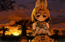 Rule 34 | 10s, 1girl, animal ears, bare shoulders, belt, blonde hair, brown eyes, closed mouth, cloud, elbow gloves, gloves, head, high-waist skirt, holding, itukitasuku, kemono friends, light smile, outdoors, paper airplane, serval (kemono friends), serval print, serval tail, shirt, skirt, sky, sleeveless, sleeveless shirt, solo, striped tail, sunset, tail, tree
