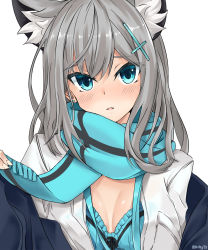 Rule 34 | 1girl, animal ear fluff, animal ears, aqua bra, aqua eyes, aqua scarf, blue archive, blush, bra, breast pocket, breasts, cat ears, cat girl, cleavage, commentary request, cross hair ornament, frilled bra, frills, hair ornament, highres, kurokage, long hair, looking at viewer, open clothes, open shirt, parted lips, pocket, scarf, shiroko (blue archive), shirt, silver hair, simple background, small breasts, smile, solo, twitter username, underwear, upper body, white background, white shirt
