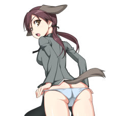 Rule 34 | 00s, 1girl, animal ears, ass, butt crack, caryo, from behind, gertrud barkhorn, looking back, nanashino, panties, solo, strike witches, tail, underwear, world witches series