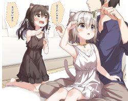 Rule 34 | 1boy, 2girls, :o, animal ear fluff, animal ears, arm up, bare arms, bare shoulders, bell, black dress, black hair, blue shirt, blush, brown hair, brown pants, cat ears, cat girl, cat tail, cattail, collar, collared shirt, commentary request, couch, dotted line, dress, dress shirt, grey hair, hair between eyes, holding, jingle bell, long sleeves, multiple girls, neck bell, on floor, open mouth, original, outstretched arm, pants, parted lips, pillow, plant, pointing, purple eyes, red collar, shirt, sitting, sitting on lap, sitting on person, sleeveless, sleeveless dress, sweat, tail, tears, translation request, white dress, yellow collar, yukie (kusaka shi)