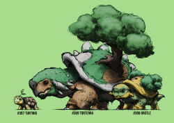 Rule 34 | absurdres, animal focus, black eyes, blacknirrow, bush, character name, closed mouth, creatures (company), dinosaur, english text, evolutionary line, full body, game freak, gen 4 pokemon, grass, green background, green theme, grotle, highres, leaf, nintendo, no humans, pokedex number, pokemon, pokemon (creature), realistic, red eyes, simple background, sketch, spikes, standing, torterra, tree, turtwig, yellow eyes