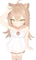 Rule 34 | 1girl, cat girl, child, flat chest, highres, light brown hair, long hair, non-web source, rurudo lion, simple background, solo, virtual youtuber, white background, yellow eyes