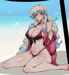 Rule 34 | + +, 1girl, bad id, bad pixiv id, bikini, black bikini, blue eyes, blush, breasts, cross-shaped pupils, curly hair, earrings, front-tie bikini top, front-tie top, gggg, highres, hood, hoodie, jewelry, large breasts, long hair, looking at viewer, multicolored hair, navel, nia teppelin, off shoulder, open clothes, open hoodie, shiny skin, sitting, skindentation, smile, solo, swimsuit, symbol-shaped pupils, tengen toppa gurren lagann, two-tone hair, wariza