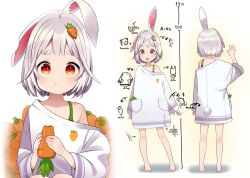 Rule 34 | 1girl, :o, :t, barefoot, blush, carrot, carrot hair ornament, character sheet, cheek bulge, ear down, eating, female focus, food, food-themed hair ornament, full body, hair intakes, hair ornament, height chart, highres, holding, holding food, looking at viewer, motto notto, multiple views, notched ear, original, oversized clothes, oversized shirt, rabbit ears, red eyes, shirt, silver hair, solo, standing, tareme, teeth, thai text, upper teeth only