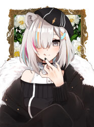 Rule 34 | 1girl, :q, absurdres, animal ears, beret, black nails, blush, commentary request, fur-trimmed jacket, fur trim, grey eyes, grey hair, hair over shoulder, hat, highres, hololive, jacket, lion ears, lion girl, long sleeves, looking at viewer, mashiro io, multicolored hair, nail polish, off shoulder, picture frame, shishiro botan, shishiro botan (button-down), short hair, solo, streaked hair, tongue, tongue out, upper body, virtual youtuber, white background