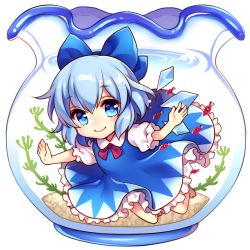 Rule 34 | 1girl, barefoot, blue dress, blue eyes, blue hair, blush, cirno, dress, fish, fishbowl, full body, hair ribbon, ice, ice wings, in container, looking at viewer, masaru.jp, matching hair/eyes, puffy sleeves, ribbon, short hair, short sleeves, smile, solo, touhou, transparent background, underwater, wings