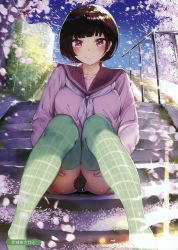 Rule 34 | 1girl, absurdres, akagi asahito, ass, ass grab, blue sky, blunt bangs, blush, bob cut, breasts, brown hair, brown skirt, bush, chain-link fence, cherry blossoms, closed mouth, day, feet, feet out of frame, fence, grabbing own ass, green thighhighs, highres, long sleeves, looking at viewer, medium breasts, motion blur, neckerchief, nose blush, original, outdoors, panties, pantyshot, petals, pink sweater, plaid, plaid legwear, plaid sailor collar, plaid skirt, purple eyes, railing, red sailor collar, sailor collar, scan, school uniform, serafuku, short hair, sitting, skirt, sky, smile, solo, stairs, sweater, tareme, thighhighs, underwear, upskirt, white neckerchief, white panties, wind