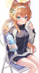 Rule 34 | 1girl, animal ear fluff, animal ears, blue archive, blue eyes, blue jacket, bottle, chair, flower, folding chair, gym uniform, hair flower, hair ornament, hair ribbon, hairband, halo, highres, holding, holding bottle, jacket, long hair, long sleeves, looking at viewer, mari (blue archive), mari (track) (blue archive), official alternate costume, on chair, orange hair, parted lips, plastic bottle, ri yonn, ribbon, shorts, simple background, sitting, smile, solo, sweat, track jacket, water bottle, white background, white hairband