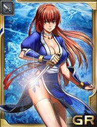 Rule 34 | 1girl, breasts, cleavage, dead or alive, kasumi (doa), large breasts, long hair, lowres, ninja gaiden, ninja gaiden clans, official art, solo, tecmo
