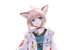 Rule 34 | 1girl, absurdres, ahoge, animal ear fluff, animal ears, arknights, black choker, blue eyes, brown hair, choker, collarbone, e-bushi, highres, hood, hood down, hooded jacket, jacket, open clothes, open jacket, parted lips, simple background, solo, sussurro (arknights), upper body, white background, white jacket