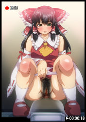 Rule 34 | 1girl, anal hair, anus, bad id, bad pixiv id, black hair, blush, border, detached sleeves, female pubic hair, gradient background, green eyes, hakurei reimu, heitai gensui, highres, moderate pubic hair, panties, panty pull, parted lips, pubic hair, pussy, solo, squat toilet, squatting, timestamp, toilet, touhou, uncensored, underwear