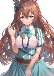 Rule 34 | 1girl, ahoge, animal ears, blue bow, blue flower, blue rose, blue skirt, blush, bow, braid, breasts, brown eyes, brown hair, center opening, commentary, ear bow, flower, hair between eyes, hand up, highres, horse ears, long hair, looking at viewer, medium breasts, mejiro bright (umamusume), parted lips, puffy short sleeves, puffy sleeves, rangen, rose, shirt, short sleeves, simple background, skirt, smile, solo, striped sleeves, sweat, symbol-only commentary, twin braids, umamusume, very long hair, white background, white shirt