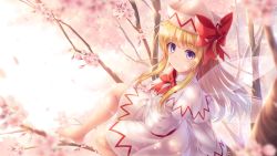 Rule 34 | 1girl, barefoot, blonde hair, bow, bowtie, capelet, cherry blossoms, commentary request, fairy wings, hat, highres, in tree, lily white, long hair, long sleeves, looking at viewer, lzh, purple eyes, sidelocks, sitting, smile, solo, touhou, tree, wings