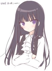 Rule 34 | 1girl, ascot, bad id, bad twitter id, black hair, black vest, blush, closed mouth, collared shirt, commentary request, cropped torso, crossed arms, dress shirt, hoshi (snacherubi), long hair, long sleeves, looking at viewer, original, purple eyes, shirt, simple background, solo, translation request, upper body, very long hair, vest, white ascot, white background, white shirt