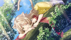Rule 34 | 1girl, ;d, amrita (artwhirl), animal ears, artist request, artwhirl mahou gakuen no otome-tachi, blonde hair, blue sky, cat ears, cat girl, cat tail, day, game cg, gradient skirt, in tree, kimura kitaka, long hair, long skirt, lying, on stomach, one eye closed, open mouth, outdoors, red scarf, scarf, skirt, sky, smile, solo, tail, tree, very long hair, white skirt, yellow eyes, yellow skirt
