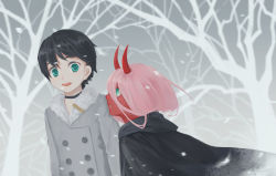 Rule 34 | 10s, 1boy, 1girl, absurdres, black hair, black robe, chu dengdeng, coat, colored skin, darling in the franxx, forest, fur-trimmed coat, fur trim, green eyes, hair between eyes, highres, hiro (darling in the franxx), horns, hylx1996130, long hair, nature, outdoors, pink hair, red skin, robe, short hair, snow, snowing, standing, winter clothes, winter coat, zero two (darling in the franxx)