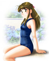 Rule 34 | 1girl, blue one-piece swimsuit, blush, braid, breasts, brown eyes, brown hair, crown braid, day, feet out of frame, highres, katsuragi ayane, long hair, neopure, one-piece swimsuit, outdoors, school swimsuit, sidelocks, sitting, small breasts, smile, solo, swimsuit, true love story