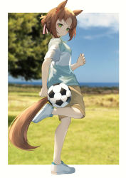 Rule 34 | 1girl, absurdres, alternate costume, animal ears, ball, blue shirt, blush, brown hair, brown shorts, commentary request, fine motion (umamusume), green eyes, hair between eyes, hair bun, highres, horse ears, horse girl, horse tail, multicolored hair, pinponpaaru, shirt, shoes, short sleeves, shorts, sneakers, soccer ball, solo, standing, standing on one leg, t-shirt, tail, two-tone hair, two-tone shirt, umamusume, white footwear, white hair, white shirt