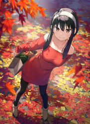 Rule 34 | 1girl, arm behind back, autumn, autumn leaves, bag, bare shoulders, black hair, black pantyhose, breasts, brown footwear, closed mouth, collarbone, commentary request, day, dress, dutch angle, food, from above, full body, hairband, highres, holding, holding bag, kantoku, long sleeves, looking at viewer, looking up, medium breasts, off-shoulder sweater, off shoulder, outdoors, pantyhose, paper bag, red eyes, red sweater, shoes, short hair with long locks, sidelocks, solo, spy x family, standing, sweater, sweater dress, vegetable, white hairband, yor briar