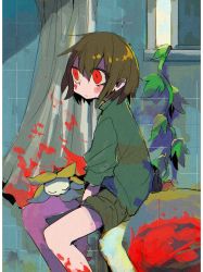 Rule 34 | 1other, androgynous, bad id, bad pixiv id, bathroom, bathtub, blood, blood on face, brown hair, chara (undertale), closed eyes, closed mouth, curtains, flower, flowey (undertale), green shorts, hair between eyes, long sleeves, plant, red eyes, shorts, sitting, soumenhiyamugi, striped clothes, striped sweater, sweater, undertale, vines, yellow flower