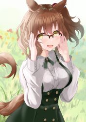 Rule 34 | 1girl, absurdres, animal ears, aston machan (umamusume), brown hair, buttons, collared shirt, commentary request, double-breasted, dress, ear ornament, flower, grass, green dress, green eyes, green ribbon, hair between eyes, highres, horse ears, horse girl, horse tail, long sleeves, looking at viewer, medium hair, official alternate costume, open mouth, outdoors, puffy sleeves, red-framed eyewear, ribbon, semi-rimless eyewear, shirt, side ponytail, smile, solo, tail, tsuyusora, umamusume