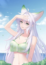 Rule 34 | 1girl, :d, absurdres, animal ear fluff, animal ears, antenna hair, arm up, bare arms, bare shoulders, bikini, bird, blue sky, breasts, cleavage, cloud, collarbone, day, fox ears, green bikini, green eyes, hair between eyes, hair intakes, hand on own head, highres, horizon, kirby d a, long hair, looking at viewer, medium breasts, navel, ocean, open mouth, original, outdoors, revision, shading eyes, silver hair, sky, smile, solo, stomach, swimsuit, teeth, upper body, upper teeth only, very long hair