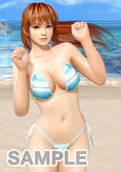 Rule 34 | 1girl, 3d, bikini, breasts, dead or alive, dead or alive xtreme 3 fortune, dead or alive xtreme beach volleyball, female focus, kasumi (doa), large breasts, long hair, lowres, official art, outdoors, sky, smile, solo, swimsuit, tecmo