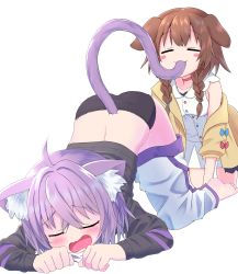 Rule 34 | 2girls, absurdres, ahoge, all fours, animal ears, barefoot, bent over, biting, biting another&#039;s tail, black hoodie, black panties, blue hair, blush, blush stickers, bow, braid, brown hair, cat ears, cat girl, cat tail, choker, clenched hands, closed eyes, clothes pull, collarbone, collared shirt, crossed bangs, dog ears, dog girl, hair between eyes, highres, hololive, hood, hoodie, inugami korone, inugami korone (1st costume), jacket, kajitsu no hito, long sleeves, medium hair, multiple girls, nekomata okayu, nekomata okayu (1st costume), off shoulder, open mouth, panties, pants, pants pull, shirt, sidelocks, tail, tail biting, tail in mouth, tears, thighs, twin braids, uncommon stimulation, underwear, virtual youtuber, white background, white pants, white shirt, yellow jacket