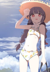 Rule 34 | 1girl, :d, absurdres, bag, bikini, black hair, blue archive, blue sky, blunt bangs, braid, cloud, cloudy sky, commentary request, duffel bag, halo, highres, holding, holding bag, long hair, looking at viewer, low twin braids, low twintails, miyu (blue archive), miyu (swimsuit) (blue archive), navel, official alternate costume, official alternate hairstyle, open mouth, outdoors, pangtanto, print bikini, red eyes, sidelocks, sky, sleeveless, smile, solo, stomach, sweatdrop, swimsuit, twin braids, twintails, white bikini