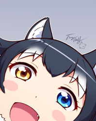 Rule 34 | 10s, 1girl, animal ears, black hair, blush stickers, close-up, fang, fur collar, grey background, grey wolf (kemono friends), heterochromia, kemono friends, langbazi, long hair, looking at viewer, multicolored hair, open mouth, simple background, solo, two-tone hair, wolf ears