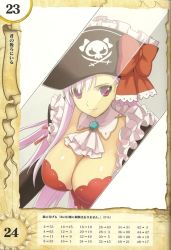 Rule 34 | 10s, 1girl, ascot, bow, breasts, bustier, captain liliana, cleavage, frills, hat, highres, jolly roger, large breasts, lingerie, long hair, morisawa haruyuki, pink eyes, pink hair, pirate, pirate hat, queen&#039;s blade, queen&#039;s blade rebellion, reflection, ribbon, skull and crossbones, skull and crossed swords, solo, sword, underwear, very long hair, weapon