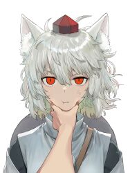 Rule 34 | 1girl, 1other, anger vein, animal ear fluff, animal ears, arms at sides, commentary request, detached sleeves, face grab, face squeeze, fang, floating hair, grey hair, hair between eyes, hand on another&#039;s face, harapan-kun, hat, highres, inubashiri momiji, medium hair, parted lips, pov, pov hands, red eyes, shield, shield on back, simple background, slit pupils, solo focus, squeezing cheeks, squishing, straight-on, tokin hat, touhou, upper body, white background, wolf ears