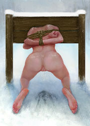 Rule 34 | 1girl, ass, bdsm, black hair, bondage, bound, breasts, frozen, head out of frame, highres, icicle, ikelag, nude, outdoors, peril, pillory, pussy, restrained, rope, small breasts, snow, solo, stuck, tagme, through wall