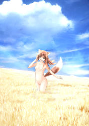 Rule 34 | 00s, 1girl, :d, animal ears, bad id, bad pixiv id, blue sky, blush, breasts, brown eyes, brown hair, cloud, collarbone, day, field, highres, holo, long hair, looking at viewer, medium breasts, navel, no nipples, nude, open mouth, outdoors, running, sky, smile, solo, spice and wolf, stomach, straw (stalk), tail, wander (artist), wander (cordabyss), wolf ears, wolf tail