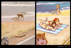 Rule 34 | 10s, 4girls, :d, ahoge, animal ears, barefoot, beach, beach towel, bikini, braid, brown bikini, brown eyes, brown hair, buck teeth, capybara, capybara (kemono friends), capybara ears, character request, commentary request, dated, eye contact, grass, head rest, hood, inflatable shark, inflatable toy, kemono friends, light brown hair, long hair, looking at another, multiple girls, open mouth, orange eyes, photo-referenced, photo inset, photobomb, ponytail, red bikini, reference inset, reference photo, roonhee, sand, shark, short hair, signature, smile, snake, swimsuit, tail, tanning, teeth, towel, waves, wolf