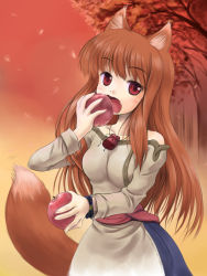 Rule 34 | 00s, 1girl, animal ears, apple, brown hair, eating, fang, food, fruit, holding, holding food, holding fruit, holo, long hair, nekohane ryou, pouch, red eyes, red sky, sky, solo, spice and wolf, tail, wolf ears, wolf tail
