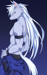 Rule 34 | 10s, 1boy, armlet, bad id, bad pixiv id, blue background, furry, furry male, hand on own hip, hip focus, long hair, male focus, pants, precure, saigi, smile precure!, solo, tail, topless male, werewolf, white hair, wolf tail, wolfrun