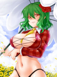 Rule 34 | 1girl, areola slip, between breasts, breasts, cleavage, clothes writing, female focus, flower, green hair, hair flower, hair ornament, kazami yuuka, large breasts, long hair, nail polish, navel, necktie, necktie between breasts, nipple slip, nipples, okitakung, race queen, red eyes, short hair, smile, solo, sunflower, touhou, umbrella, yellow necktie