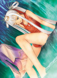 Rule 34 | 1girl, barefoot, china dress, chinese clothes, collarbone, dress, flat chest, highres, houmei, knees, legs, long legs, sega, shining (series), shining wind, solo, thighs, tony taka, white hair
