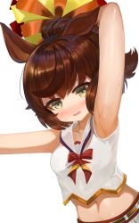 Rule 34 | 1girl, animal ears, arm behind head, arm up, armpits, blush, bow, breasts, brown eyes, brown hair, commentary request, crop top, dokomon, highres, holding, horse ears, korean commentary, looking at viewer, midriff, multicolored hair, navel, nice nature (run&amp;win) (umamusume), nice nature (umamusume), nose blush, parted lips, pom pom (cheerleading), ponytail, red bow, shirt, small breasts, solo, streaked hair, sweat, umamusume, white shirt