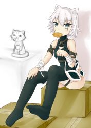 Rule 34 | 1girl, absurdres, animal, arm belt, bandaged arm, bandages, bare shoulders, belt, belt buckle, black shirt, black thighhighs, blush, box, breasts, brown belt, buckle, cardboard box, cat, closed mouth, commentary request, dated, facial scar, fate/grand order, fate (series), feiyyx, food, food in mouth, grey eyes, hair between eyes, hand on leg, highres, jack the ripper (fate/apocrypha), mouth hold, no shoes, on box, paw pose, scar, scar across eye, scar on cheek, scar on face, shirt, short hair, signature, sitting, sitting on box, sleeveless, sleeveless shirt, small breasts, solo, taiyaki, thighhighs, wagashi