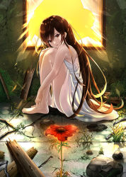 Rule 34 | 1girl, bare arms, barefoot, broken window, brown eyes, brown hair, commentary request, dress, flower, from side, full body, gakuon (gakuto), hair between eyes, highres, hugging own legs, indoors, knees up, long hair, looking at viewer, on floor, open mouth, original, overgrown, ruins, sitting, sleeveless, sleeveless dress, solo, sunlight, very long hair, white dress