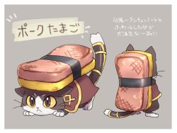 Rule 34 | 1boy, :&lt;, all fours, animal ears, barefoot, border, brown capelet, brown eyes, brown pants, capelet, cat boy, cat ears, cat tail, closed mouth, colored sclera, commentary request, food, full body, furry, furry male, grey background, highres, male focus, multiple views, omelet, pants, ragnarok online, rouko605, simple background, spam (food), summoner (ragnarok online), tail, tamagoyaki, thick eyebrows, translation request, white border, yellow sclera