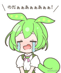 Rule 34 | 1girl, blush, closed eyes, commentary request, crying, facing viewer, green hair, green skirt, long hair, mitya, open mouth, puffy short sleeves, puffy sleeves, shirt, short sleeves, simple background, skirt, solo, streaming tears, suspender skirt, suspenders, tears, translation request, twitter username, v arms, very long hair, voicevox, wavy mouth, white background, white shirt, zundamon