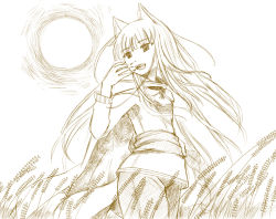 Rule 34 | 00s, 1girl, animal ears, brown theme, holo, monochrome, sketch, solo, spice and wolf, tail, wheat, wolf ears, wolf tail