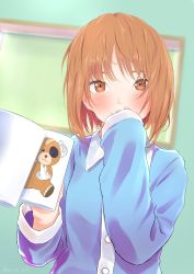 Rule 34 | 1girl, absurdres, animal print, bandages, bandaid, bear print, blue shirt, blurry, blurry background, blush, boko (girls und panzer), brown eyes, brown hair, closed mouth, collared shirt, commentary, covering own mouth, cup, depth of field, girls und panzer, highres, holding, holding cup, long sleeves, looking at viewer, mug, nishizumi miho, oze (xyz go go11), pajamas, print mug, reflection, shirt, short hair, smile, solo, stuffed animal, stuffed toy, teddy bear, upper body
