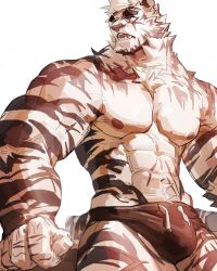 Rule 34 | 1boy, abs, absurdres, animal ears, arknights, bara, black male underwear, briefs, brown theme, bulge, chest hair, cowboy shot, furry, furry male, highres, large pectorals, looking to the side, maiyabuhantang, male focus, male underwear, mountain (arknights), muscular, muscular male, navel, nipples, pectorals, scar, scar across eye, scar on arm, scar on chest, scar on face, scar on stomach, short hair, solo, stomach, tail, thick thighs, thighs, tiger boy, tiger ears, tiger tail, underwear, underwear only, white fur, white hair