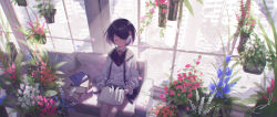 Rule 34 | 1girl, black hair, blush, book, book stack, broken window, city, couch, day, closed eyes, feet out of frame, flower pot, from above, hair ornament, hair over one eye, hairpin, highres, indoors, long sleeves, on couch, open book, original, parted lips, plant, potted plant, reoen, ruins, shirt, short hair, signature, sitting, sleeping, sleeping upright, solo, sunlight, white shirt, window