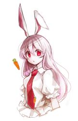 Rule 34 | 1girl, animal ears, breasts, carrot, carrot pin, collared shirt, commentary request, eyes visible through hair, food, frills, hair between eyes, highres, long hair, looking at viewer, medium breasts, necktie, open mouth, puffy short sleeves, puffy sleeves, purple hair, rabbit ears, red eyes, red necktie, reisen udongein inaba, shirt, short sleeves, simple background, solo, tama (hiroshige 36), touhou, upper body, white background, white shirt