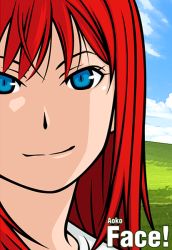 Rule 34 | 00s, 1girl, aozaki aoko, bad anatomy, bliss (image), blue eyes, cpu (hexivision), poorly drawn, portrait, red hair, solo, tsukihime, vector trace